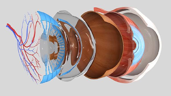做消除腫眼泡失敗修復(fù)效果如何
