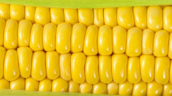 東北糯玉米要煮多久會(huì )熟