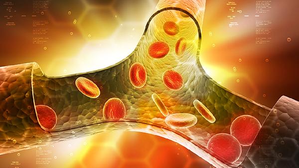 c型人格的特征易患什么病毒