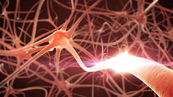 治療新型冠狀病毒的中醫(yī)藥方