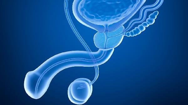 輸精管容易斷裂嗎