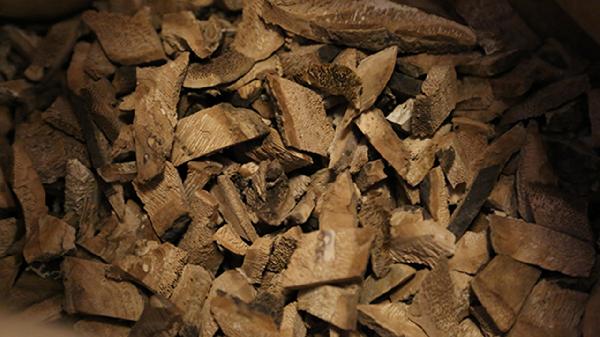 喝中藥忌酒可以喝酒嗎