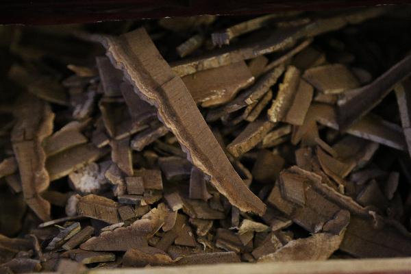 補肝腎最好的中藥材