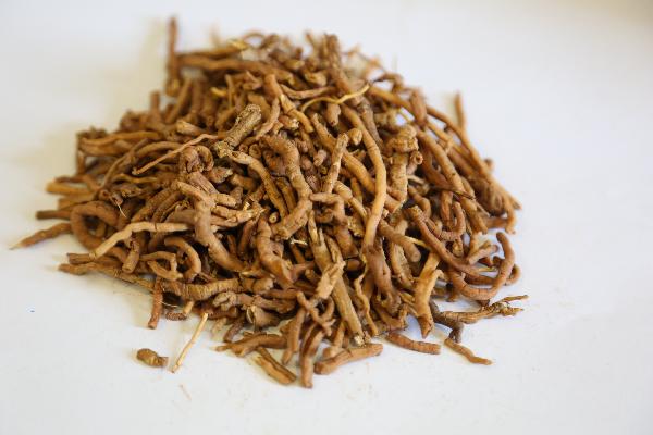 陽(yáng)萎早謝泄吃中藥能治好嗎