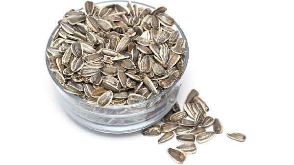 海蜇屬于高蛋白食物嗎