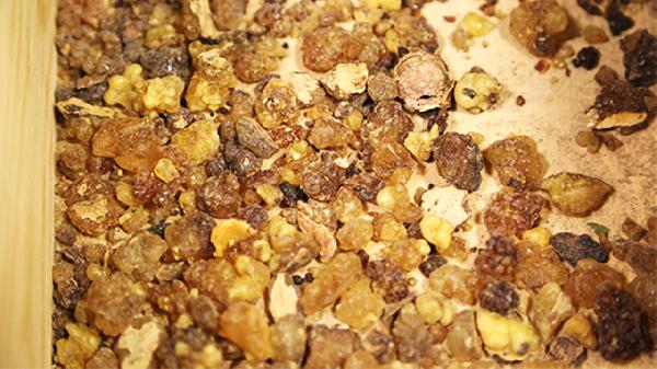 補腎中藥什么時候喝最好