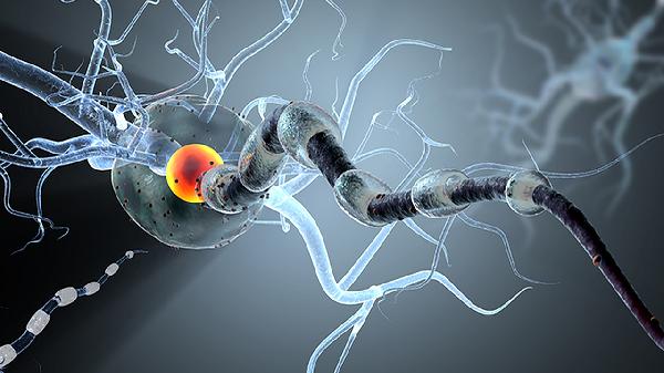 什么是共濟(jì)失調(diào)