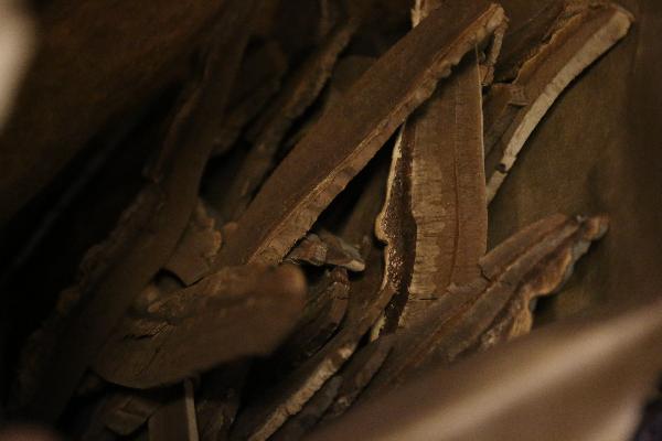 中醫(yī)治療特應(yīng)性皮炎的效果好不好