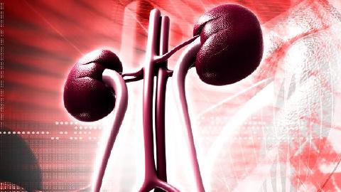 双肾积水是如何引起的