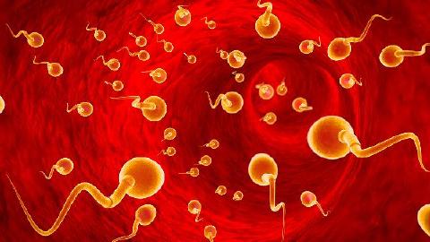 男性不育癥的治療三個要點