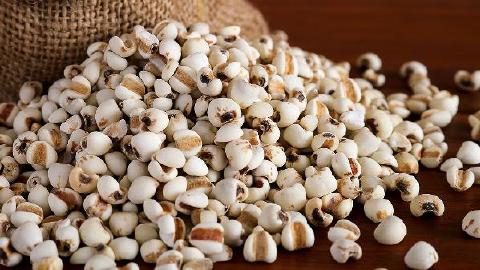 春天精致的食物是什么