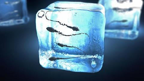 如何提高精子質(zhì)量