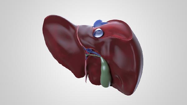 尿检能判断肝脏的好坏吗