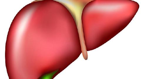 輕度脂肪肝如何調(diào)理飲食