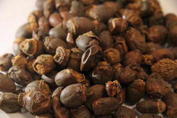 中醫教你如何從舌頭看病