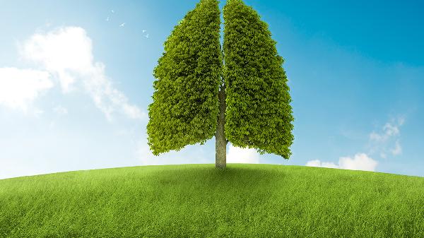 如何幫助兩歲的孩子樹立自信