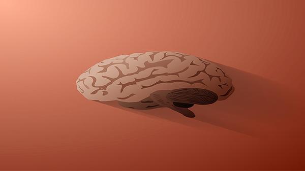 婴儿摔到后脑勺的所有症状