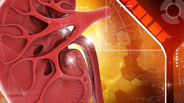 腎病綜合征出血熱治療