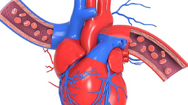 心腦血管疾病的癥狀