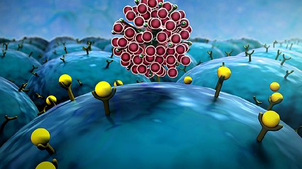 如何预防细菌性肠炎