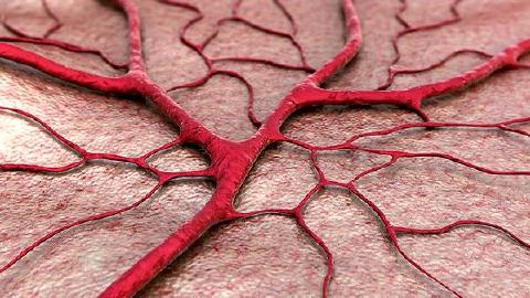 血友病患者如何護理