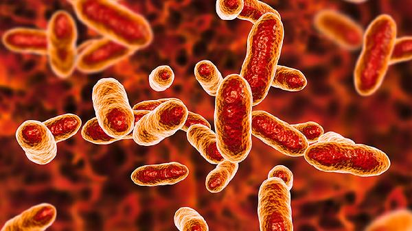 白塞氏病全身如何護(hù)理