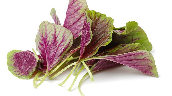 莧菜煮水喝什么好呢