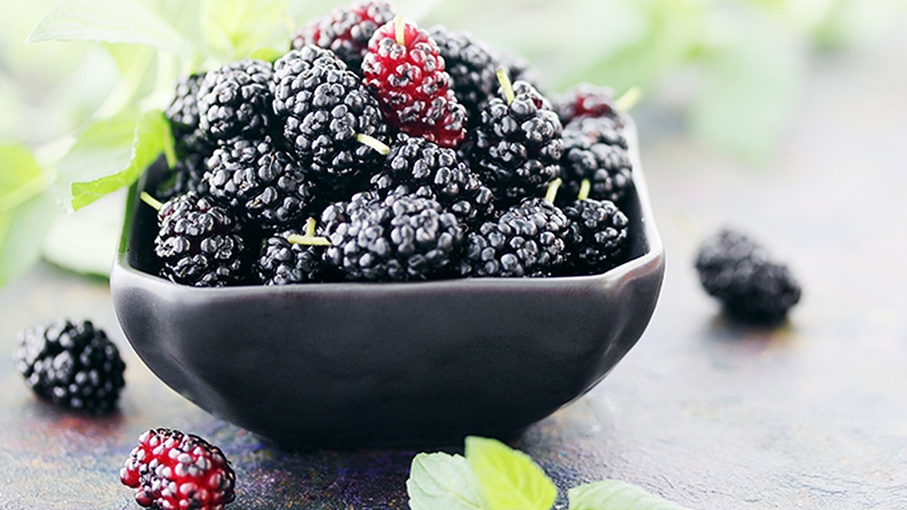 種這個(gè)水果補(bǔ)血強(qiáng)過紅棗，補(bǔ)氣勝似黃芪，連吃1個(gè)月氣津血都足了