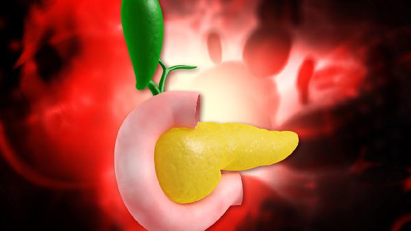 重癥胰腺炎的飲食