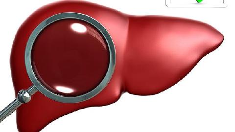 活體肝移捐注意事項