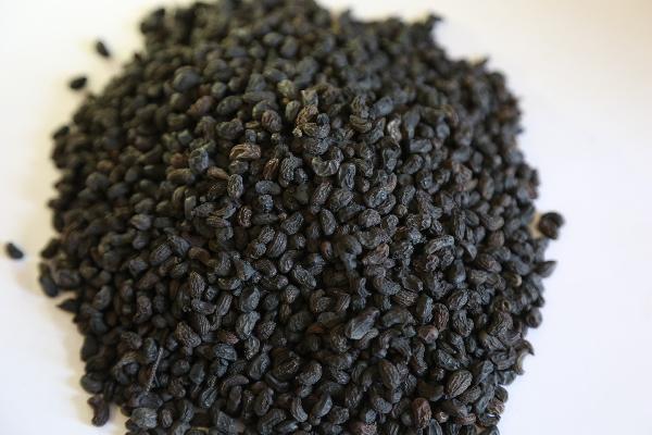 藥物流動(dòng)的禁忌事項(xiàng)