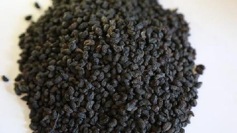 藥物流動(dòng)的禁忌事項(xiàng)