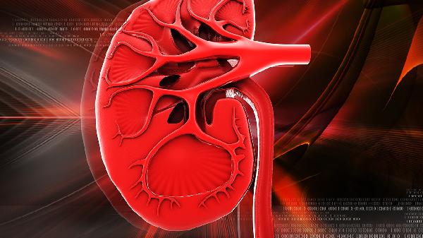腎結晶一般幾天能排出來(lái)
