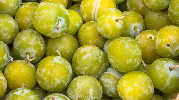 青梅對痛風(fēng)的作用