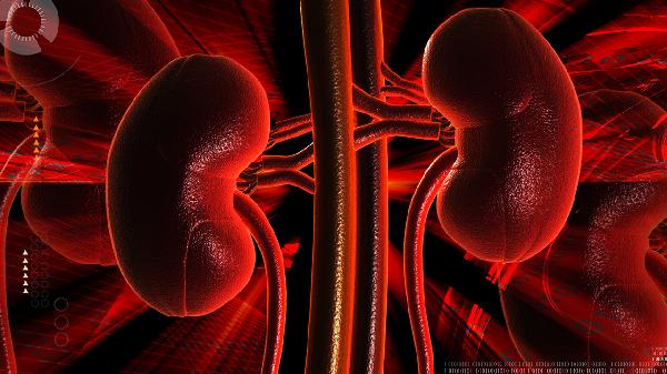 腎損傷的保健
