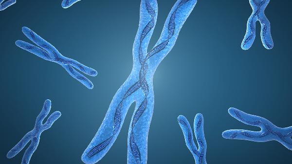 無(wú)法治愈的不孕引起染色體