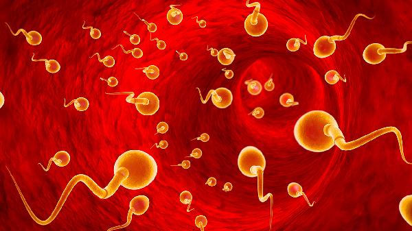 精液檢測是診斷男性不育的重點