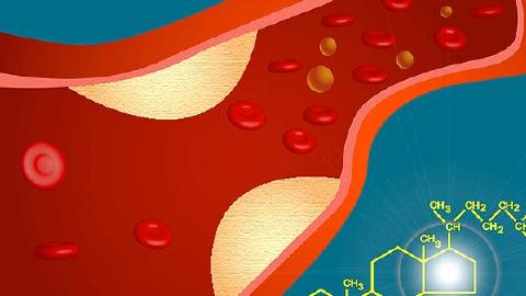 血友病的遗传方式