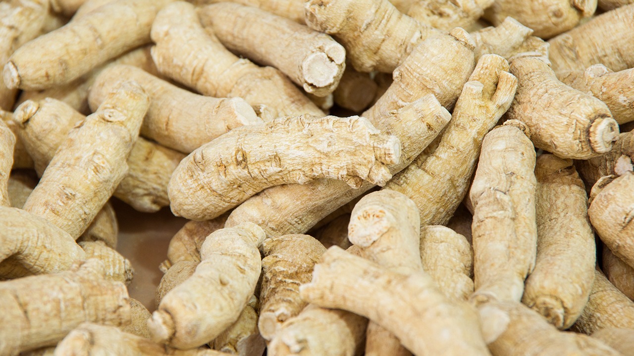 西洋參泡水，補氣不上火！最適合這5類人群，看看有你沒？