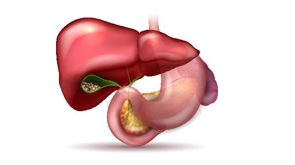 直接膽紅素偏高是什么意思