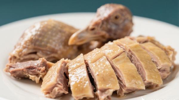 鴿子和什么一起燉湯最有營(yíng)養(yǎng)