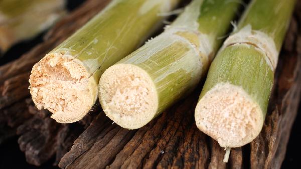 甘蔗水的作用和功效