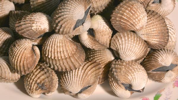 什么中藥可以降糖