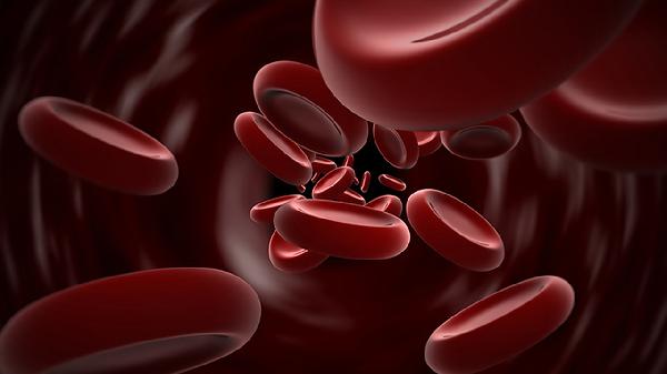 猴痘病毒的癥狀和危害