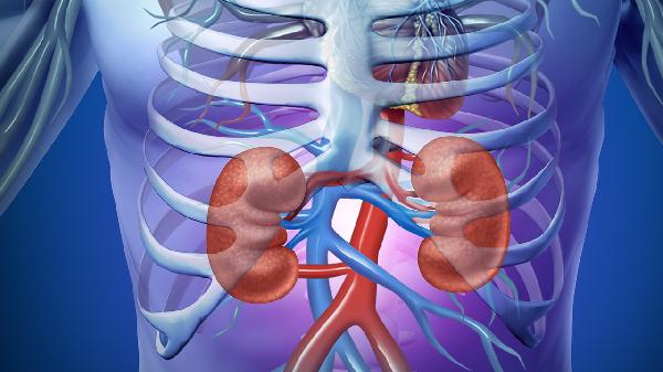 肾结石症状表现