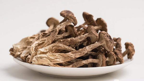 茶樹(shù)菇的營(yíng)養價(jià)值