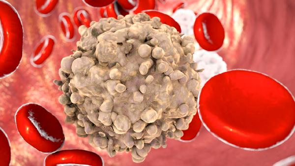 化疗白细胞低吃什么食物好补得快