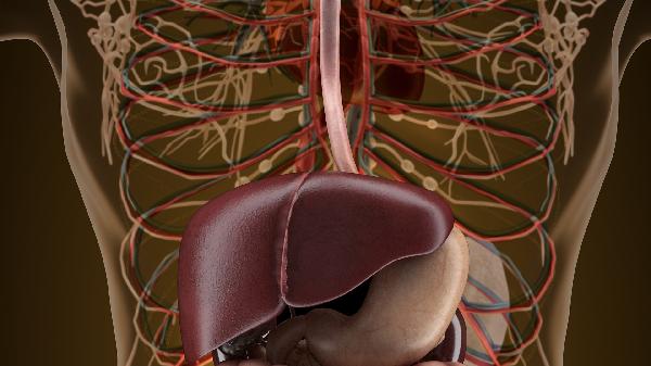 舒肝健胃消食片的功效