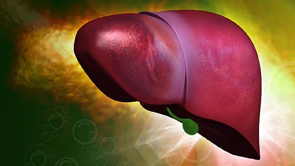 肝區(qū)不適在哪個(gè)位置