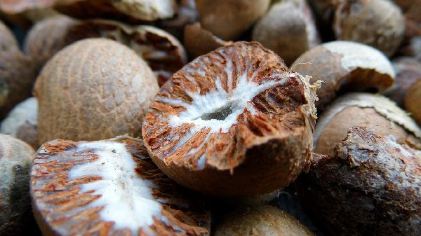 血糖高可以吃恐龍蛋水果嗎